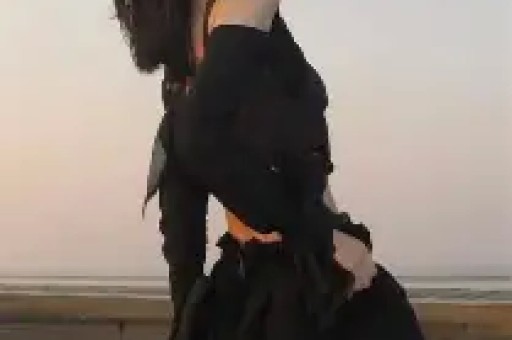 野狐馋师
